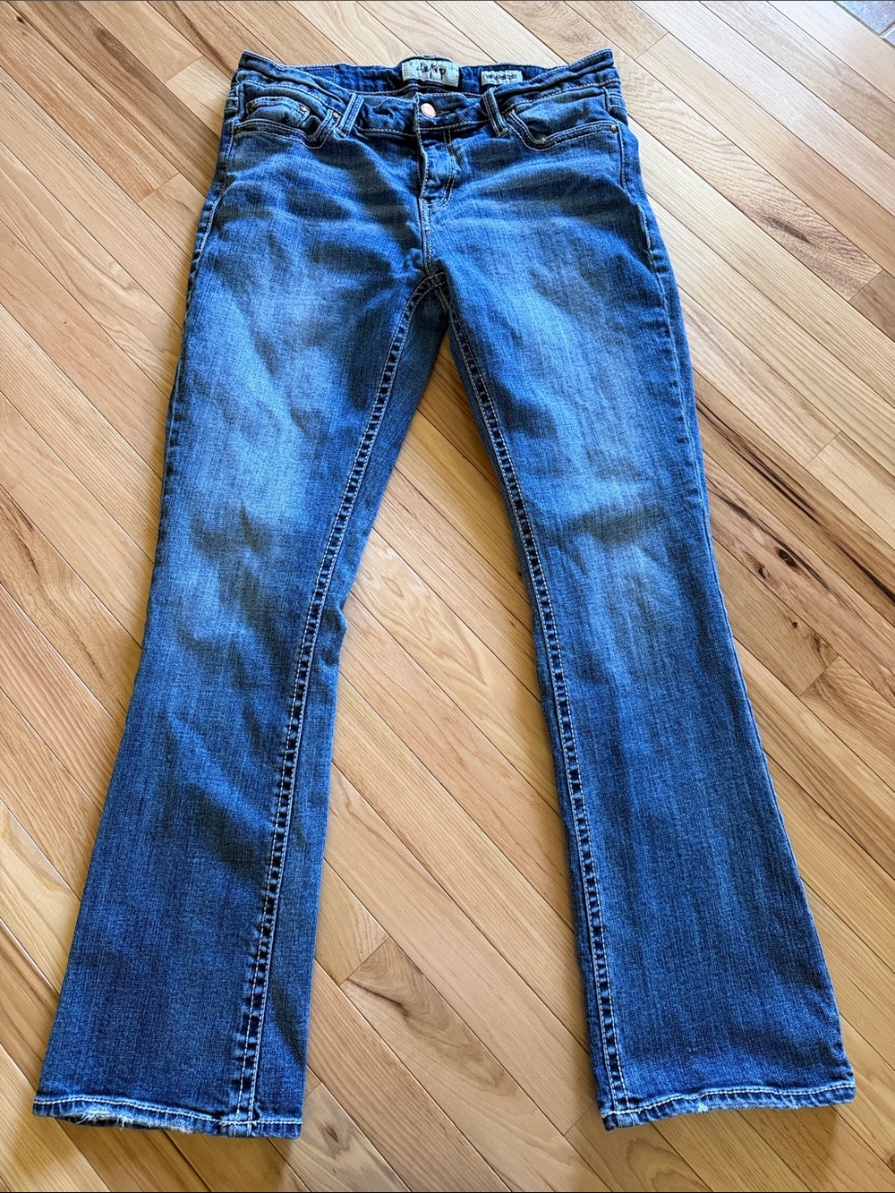 Daytrip Blue Flared Jeans